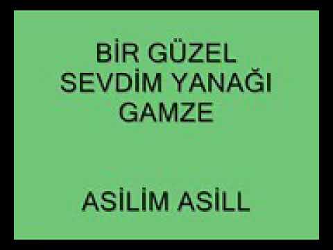 YouTube  BİR GÜZEL SEVDİM YANAGI GAMZE