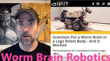 Worm Brain Robotics