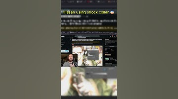 Did Hasan Shock His Dog? Asmongold Weighs In!