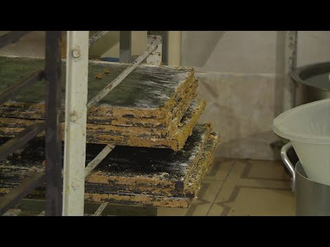 თბილისი: შპს 13 “ბომბორა”; არომა პროდუქტი საცხობი “მეამა”