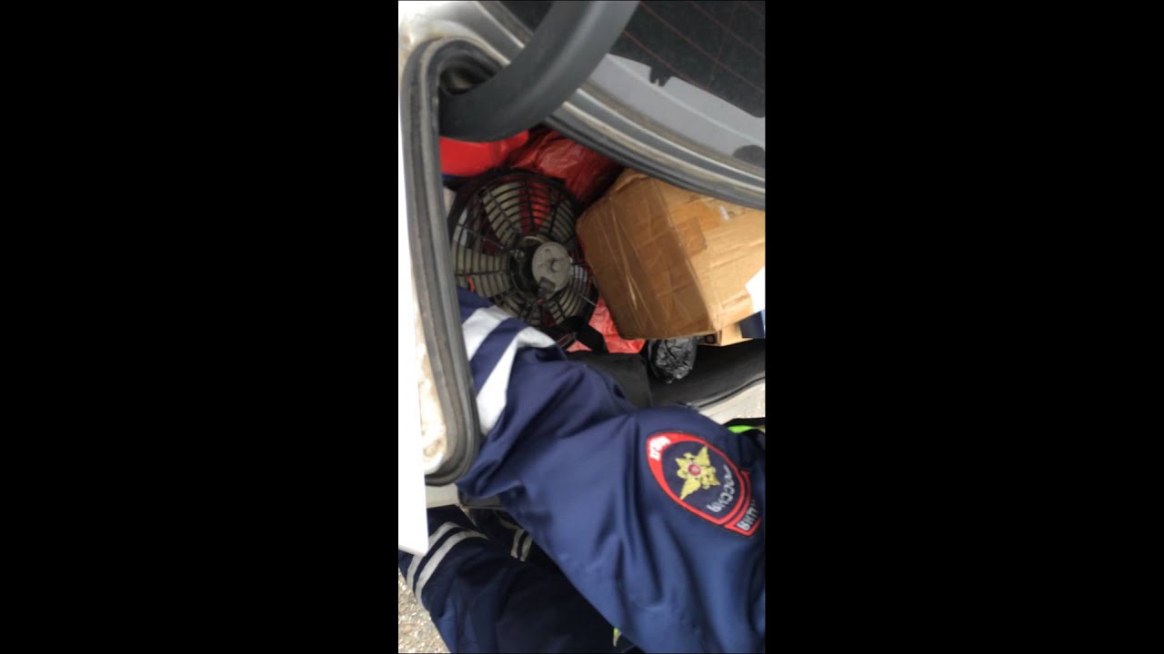 Осмотр машины гибдд