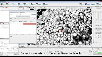 Fully manual tracking in FluoRender