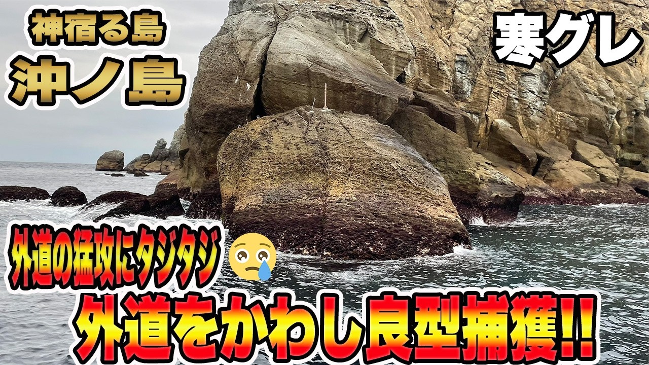 【グレ釣り 沖ノ島】寒グレ最盛期❕❕良型グレを引きずり出す方法❕❕#沖ノ島 #寒グレ  #グレ釣り  #フカセ釣り