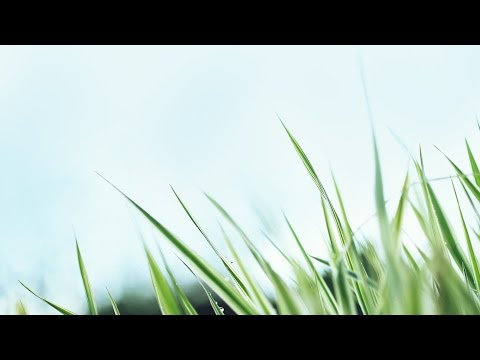 Здоровый образ мысли