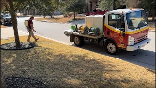 Late Winter Weed Control