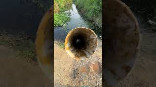 JBL Balti pipe water cooler drop speaker