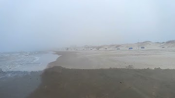 Digital Signals - on a beach today (music video)