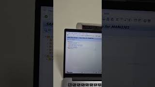 ✅️How to change colour theme in SAP