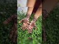 top 5 beautiful mehndi designs #mehndi#mehndidesign #shorts #viral