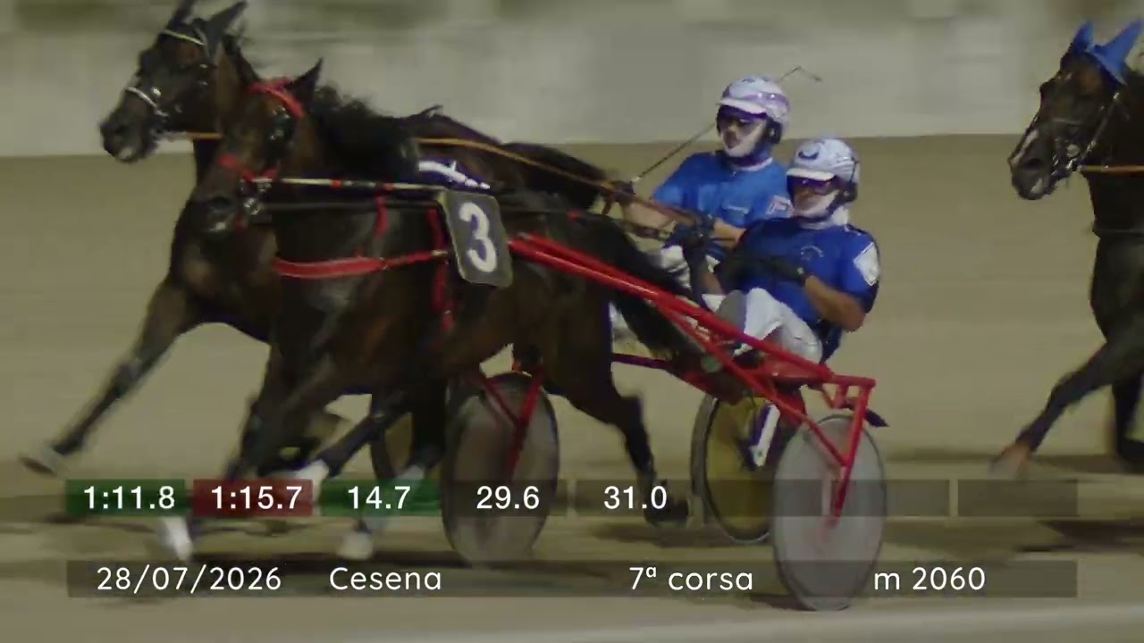 28 07 2026 | Corsa 7 | Metri 2060 | Premio Squacquerone Di Romagna Dop - Cesena - Tga 2026