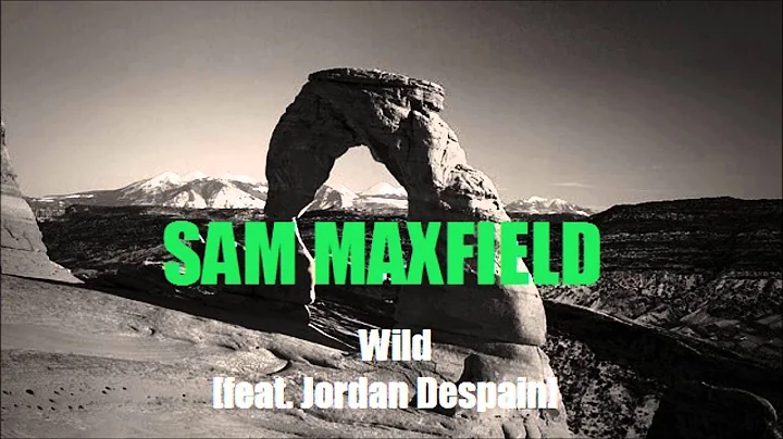 Wild [feat. Jordan Despain]