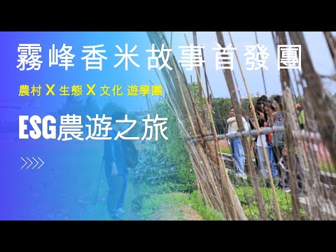 台灣農學堂-霧峰香米的故事