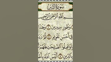 سورة التين - برواية قالون عن الامام نافع المدني رحمة الله عليه