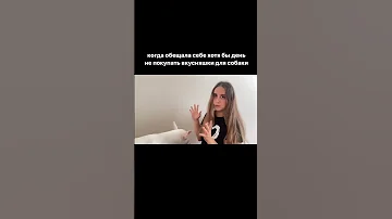зоомагазины - слабое место всех любителей хвостатых😂