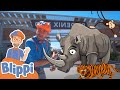 Blippi visita un zoológico - Blippi Españo | Aprende Colores y Objetos