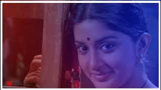 சின்ன பொண்ணு சேல | Tamil lyrics songs