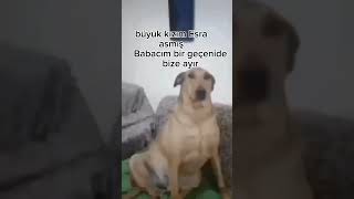 Babacım Bir Gecenide Bize Ayır