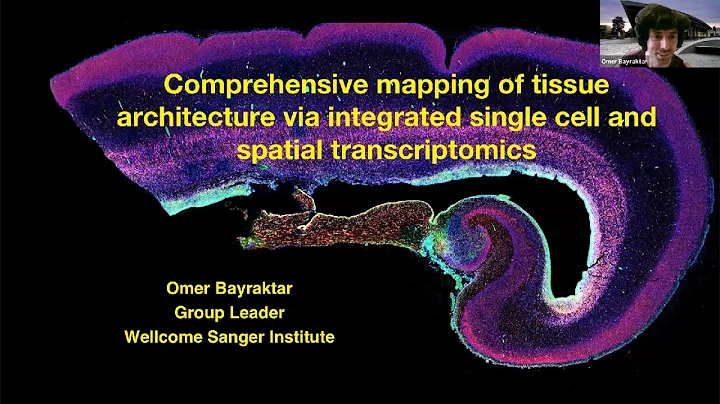 Comprehensive mapping of tissue architecture via integrated single cell and spatial transcriptomics