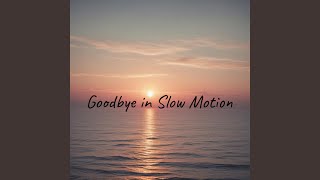 Goodbye in Slow Motion