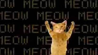 Dancing Cats - Go Kitty Go! screenshot 4
