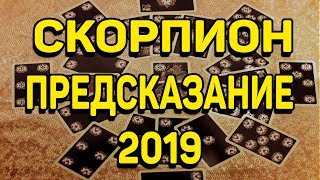 СКОРПИОН. ПРЕДСКАЗАНИЕ на 2019 ГОД. Онлайн Гадание на картах.