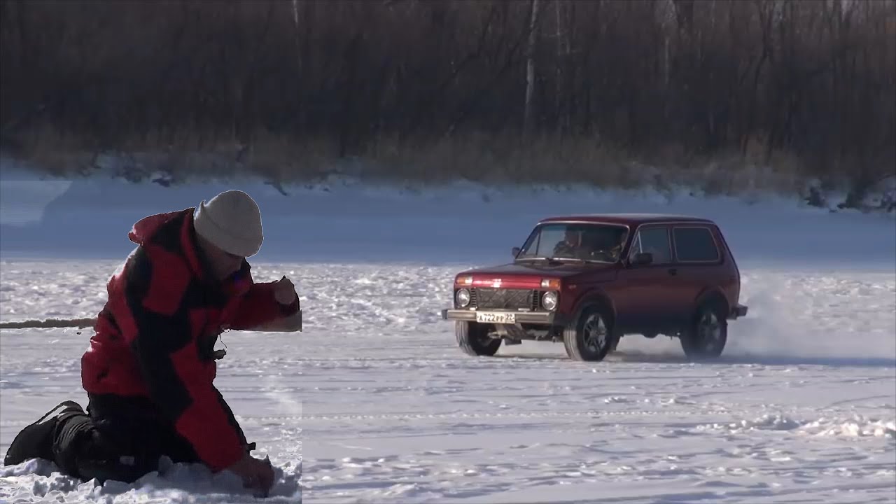 Секта рыбка на машине