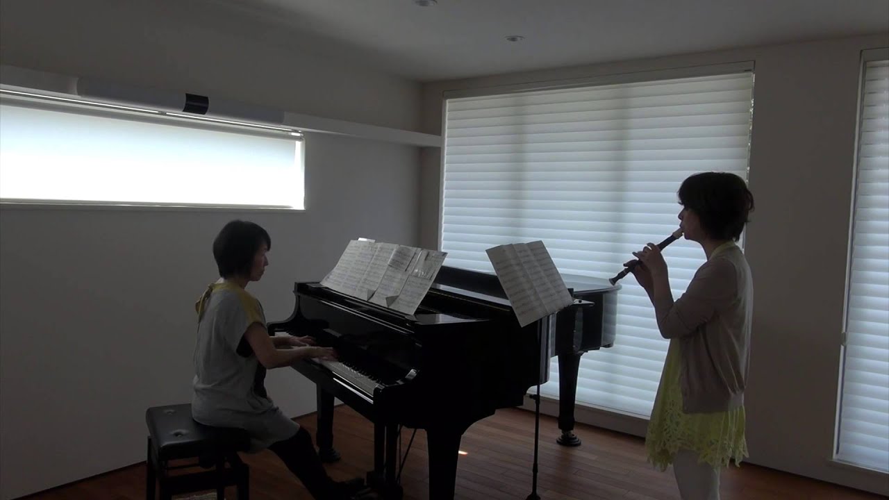 嵐　GUTS! （リコーダー・ピアノアレンジ）