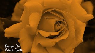 Dancing Star - Aakash Gandhi | 1 Hour