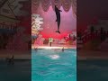 Acrobatic Dolphin Show #shortvideo #DolphinAcrobatics #ThrillingExperience #AquaticAcrobats #japan