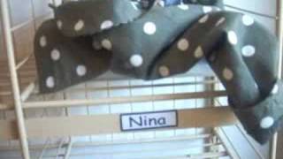 Nina Qerdhe 5