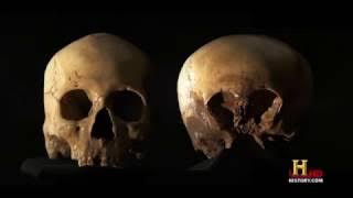 Angriff des Echsenmenschen   Aliens ✪ UFO Alarm Deutsche HD