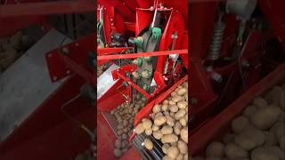 Potato Planter Grimme Gl 420 Exacta Planting Potatoes In Uk || Made By Grimme Germany || #Shorts