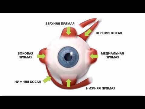 Видео: Как улучшить зрение без лекарств?