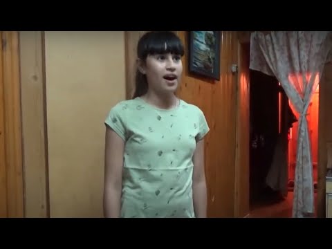 Диана Анкудинова – История