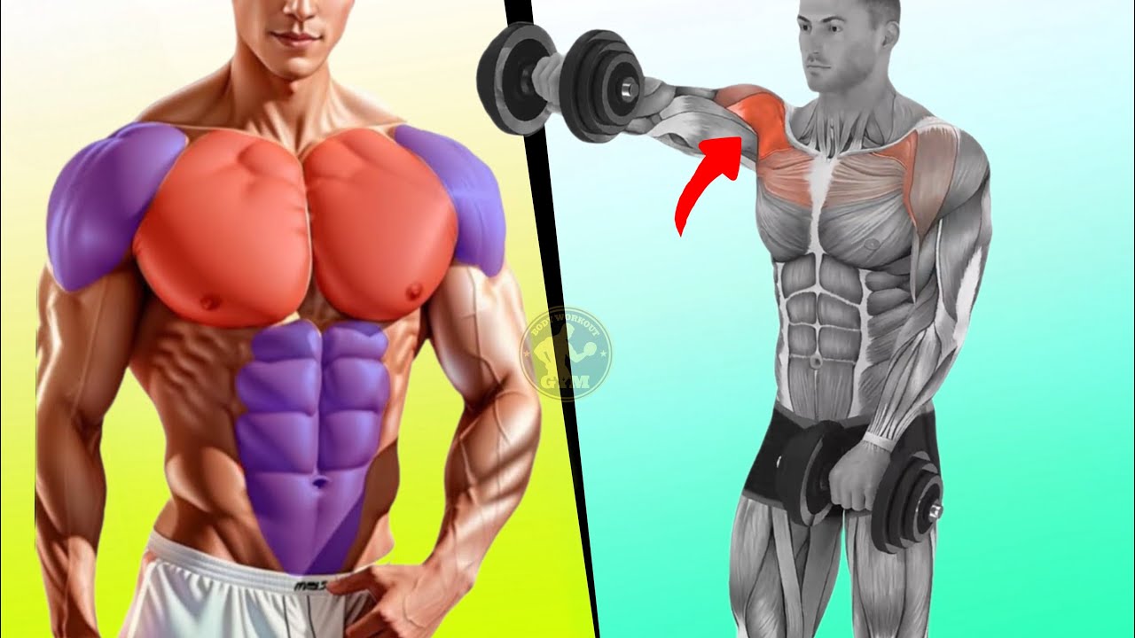 Best Upper Body Workout For Mass ( Shoulder and Chest ) YouTube