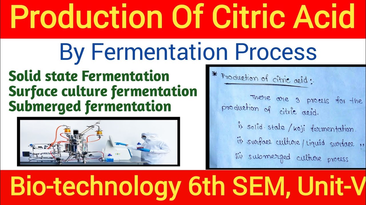 Production of Citric Acid by Fermentation process P'ceutical ...