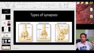 Histology of the Nerve tissue