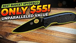 Is the Spyderco Tenacious Still the King of Budget Knives? It's my first one 😁