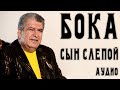 Бока (Борис Давидян) - Сын слепой