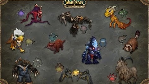 WoW Pet Battles - Power Leveling Battle Pets with Whispering Pandaren Spirit