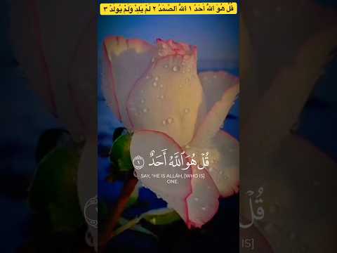 ق ل ه و ٱلل ه أ ح د ١ ٱلل ه ٱلص م د ٢ ل م ي ل د و ل م ي ول د ٣  