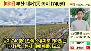 (거래완료) 부산강서구부동산┃대저1동 농지(740평)┃부산대저 공공택지 예정토지 [대저랜드 김동진]