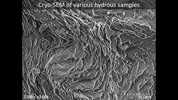 [Life] Cryo-SEM of various hydrous samples