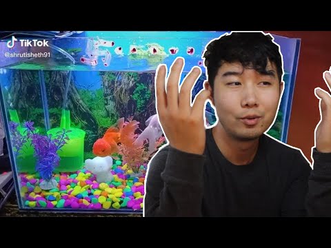 the-more-you-look-the-worse-it-gets-|-fish-tank-review-60