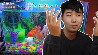 the MORE you look the WORSE IT GETS | Fish Tank Review 60