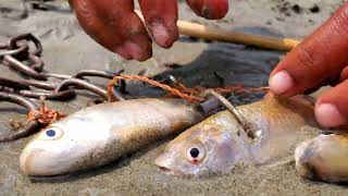 Wow Unbelievable Fishing Method In River Underwater Monster Fish Catching By Chain#fishing