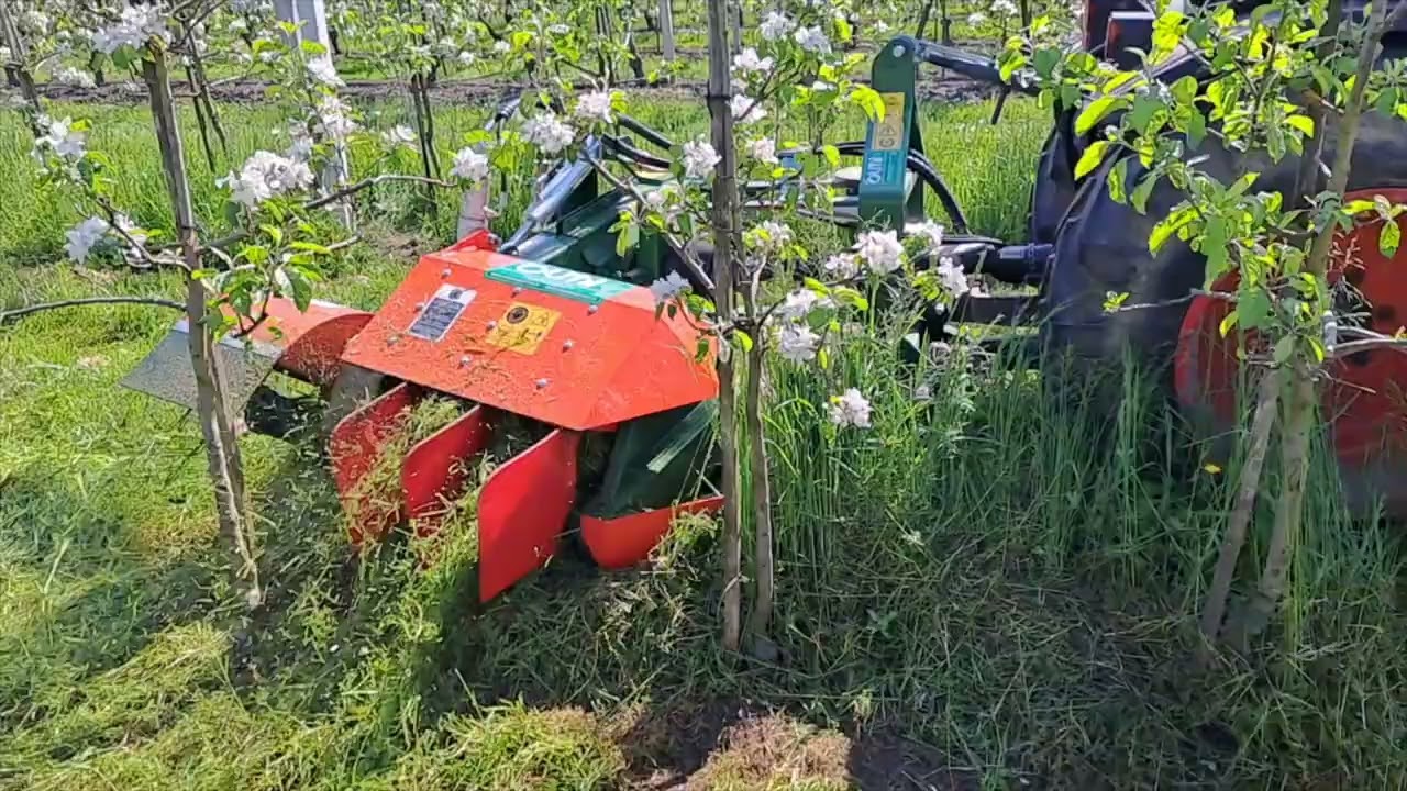 DISERBATRICE MECCANICA PER VIGNETI E FRUTTETI  /  MECHANICAL WEEDER FOR VINEYARDS AND ORCHARDS