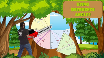 What You Should Know About Using Reference Angles ~ 11th Grade Tutor Me Sempai