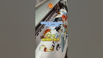 Giá In Tranh Canvas hoạt hình, giá in tranh canvas lấy 2h Bình Thạnh 0909099669 -In Kỹ Thuật Số