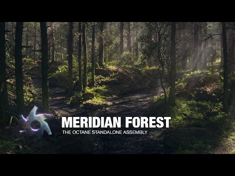 Meridian Forest | CG Scene Breakdown